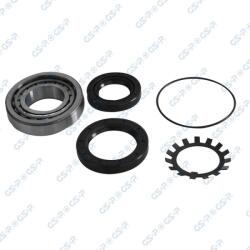GSP Set rulment roata GSP GK3950 (GK3950)