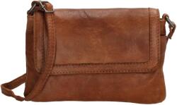 Beagles Maspalomas 20418 Cognac