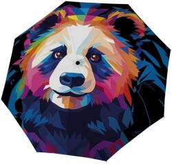 Doppler Modern Art Magic Mighty Panda