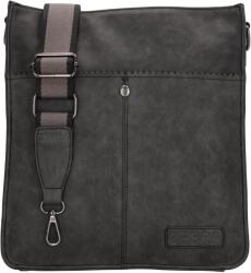 Zebra Trends Cynthia 22602 Black