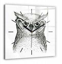 Foto Üveg Falióra Konyha Rajzolt bagoly szemüveggel 60x60 cm (010010500080200267839)