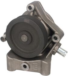 HEPU Pompa de Apa Citroen Jumper Iii Fiat Ducato Peugeot Boxer 3.0cng/3.0d 04.06- CITROEN JUMPER 3 FIAT DUCATO IVECO DAILY 5 (HEPP1203)
