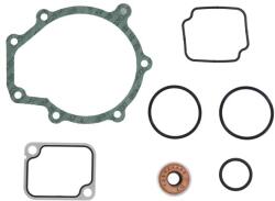 DT SPARE PARTS Set de Etansare al Pompei de Apa Mercedes Atego Atego 2 Axor Axor 2 Citaro (o 530) Conecto (o 345) Econic Intouro Oh (4.90925)