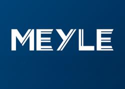 MEYLE Pompa de Apa (cu Rulment (12-335006548)