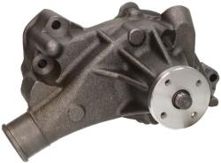 DOLZ Pompa de Apa Chevrolet Astro C1500 S10 4.3 10.84-09.96 CHEVROLET ASTRO/C1500 pick-up/S10 Pick Up (DOLZC601)