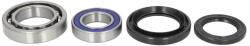4 RIDE Kit Rulment Roata Spate (cu Etansanti) Yamaha Yfm 450 2006-2010 YAMAHA YFM (AB25-1567)