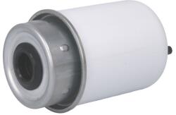 PURRO Filtru Combustibil Ag Chem 8103 3104 8104 Atlas Xas 90 Bell 310 Sg 315 Sg Bobcat 975 Carraro 6500 Caterpillar 311 311b (PUR-HF0021)