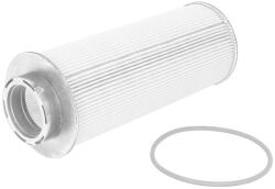 OE DAF Filtru Combustibil Daf 75 Cf Cf 75 Cf 85 Db Xf 105 Xf 106 Bova Futura Magiq Synergy Solaris Urbino I Urbino Ii Vacanza (DAF1699168)