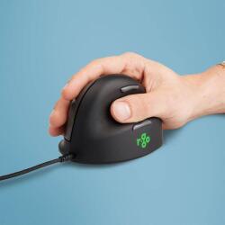 R-Go Tools RGOHBRSWDBL Mouse