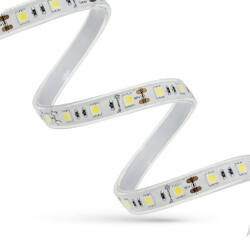 spectrumLED Led Strip 48w 5050 60led Cw 1m (roll 5m) - With Silicone (woj14330)