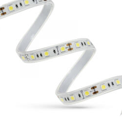 spectrumLED Led Strip 44w 3528 120led Ww 2 Years Eco 1m (roll 5m) Without Silicone (woj14406)