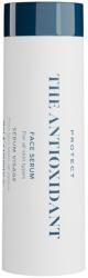 Skin Rocks The Antioxidant Serum 30 ml - Refill