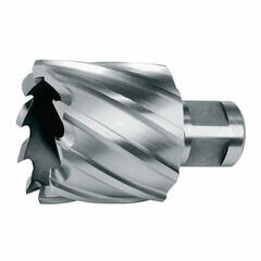 Makita Carota cu prindere weldon Makita 42 mm (42S)