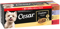 Cesar 80x100g Cesar Feines tasakos favoritok szószban nedves kutyatáp