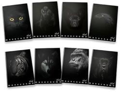 Pigna Füzet A/4 vonalas PIGNA 38 lapos Monocromo Black vegyes, minta nem választható (P1111-0386)