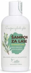 Cvetka Șampon pentru păr normal Cvetka (250 ml)