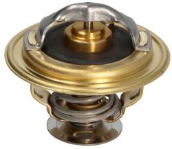 FPT Termostat Sistem Racire Case Ih 100 55 65 70 2wd 70 4wd 75 80 2wd 80 4wd 85 90 2wd 90 4wd 95 70 80 90 New Holland Lm (98463638-FPT)