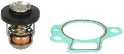 SIERRA Termostat al Sistemului de Racire (18-3642)