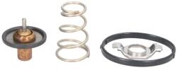 MOTORAD Termostat Sistem Racire (95°c) Jeep Grand Cherokee Grand Cherokee Iv Wrangler Iii 3.0/3.6/3.6alk 11.10 (724-95INSK)