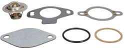 QUICKSILVER Termostat (60 °c 140 °f (807252T4)