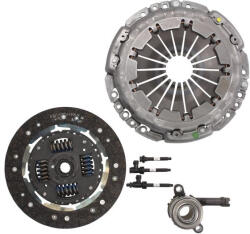 LUK Kit ambreiaj Nissan Primastar 2.5 dCi (2006-) Luk (4254)