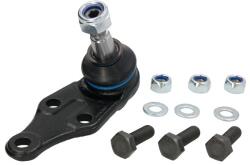 REINHOCH Pivot Axa Dreapta/Stanga (inferior Fata) (diametru Con 18mm) Land Rover Freelander I 1.8/2.0d/2.5 02.98-10.06 (RH03-5011)