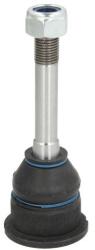 REINHOCH Pivot Axa Dreapta/Stanga (interior Fata) (diametru Con 14, 8mm) Bmw 3 (e30) 3 (e36) Z1 Z3 (e36) 1.6-3.2 09.82-06.03 (RH03-3009)