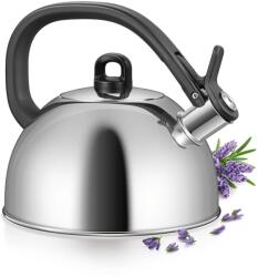 Tescoma Kettle din inox Tescoma GrandCHEF, 2L, pentru toate tipurile de plite (26964495) Fierbator