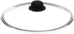 Tescoma Capac din sticla Tescoma Unicover, 30 cm, borosilicatat, universal (32693991)