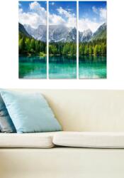 Bianca Wallity Decorative MDF Painting (3 Pieces) Multicolor MDF20087 (553BNC1720)