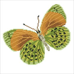 Lowlands DIAMOND DOTZ Verde fluture