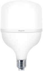 BRAYTRON Bry-premium-28w-e27-t100-6500k-led Bulb (br-ba13-32823)