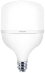BRAYTRON Bry-premium-18w-e27-t80-3000k-led Bulb (br-ba13-31820)