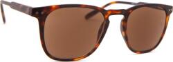 I need you Reading Sun Playa Tortoise/Brown