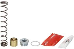 VADEN Termostat de Racire cu Ulei (set) Euro 5 Daf Xf 105 MX300/MX340/MX375 10.05- DAF XF (0106060)