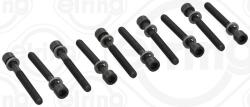 ELRING Set surub, chiulasa ELRING 819.808 (819.808)