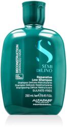 ALFAPARF Milano Alfaparf Semi Di Lino Reconstruction Reparative Shampoo 250 ml opțiune Ambalaj nou