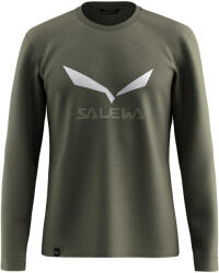 Salewa Tricou pentru bărbați Solidlogo Dry L/S Tee Faded Green 2X