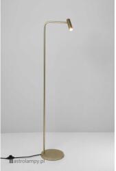 ASTRO LIGHTING Enna Floor arany LED állólámpa (AST-1058107) LED 1 izzós IP20 (1058107)