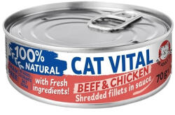 Cat Vital Beef & Chicken 70 g - jotap