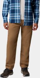 Columbia Pitchstone Warm Lined Pant D