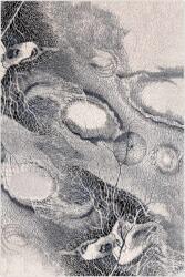 Agnella gyapjú szőnyeg isfahan bellona light grey - 200 x 300 cm