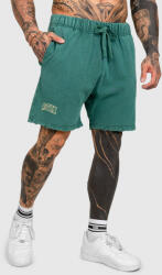 Iron Aesthetics Férfi rövidnadrág Iron Aesthetics ASTHX, washed green: M Zöld