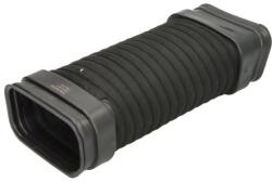 THERMOTEC Palnie, filtru de aer THERMOTEC DCB156TT (DCB156TT)