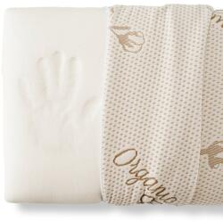 Brius Perna Brius Memory Tricot Organic Cotton 40 70 cm, 40x70 (BB5942632024694RIZ)