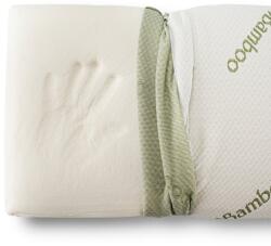 Brius Perna Brius Memory Tricot Bamboo, Tricot 99% poliester, 1% fibre de bambus, Umplutura perna, Burete memory foam, 40x70 (BB5942632024670RIZ)