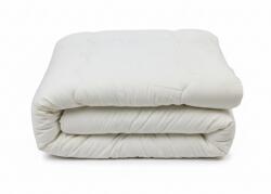 Brius Plapuma Brius de Iarna, Bumbac 2 Persoane 195 215, Matlasata cu ata pentru o rezistenta indelungata, Alb (BB5942632034082RIZ)