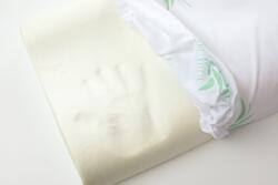 Brius Perna Brius Ergonomica, Microfibra super soft, Umplutura perna, Burete memory foam, Burete Memory Aloe Vera, 40x60 (BB5942632021433RIZ)