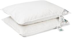Brius Set Brius 2 Perne Puf si Pana Rata, Bumbac, 50x70, Alb, Intretinere, Lavabila la masina (40 C) (BB5942632014688RIZ)