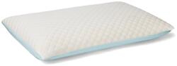 Brius Perna Brius Memory Cool Relax 40x70 cm, 40 (BB5942632033405RIZ)